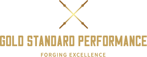 My Forging Excellence Program from Gold Standard Performance